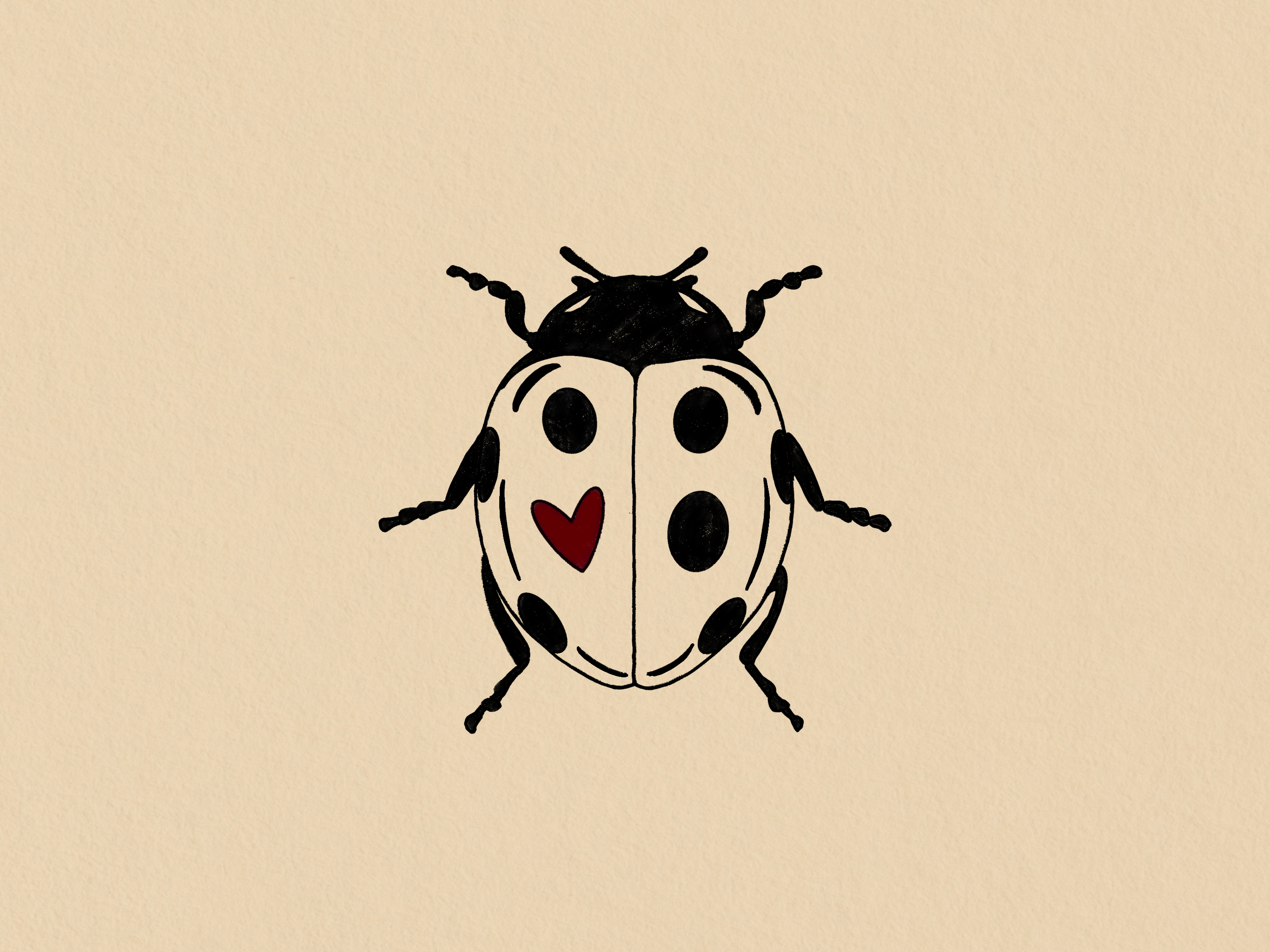 Love Bug Letter Club